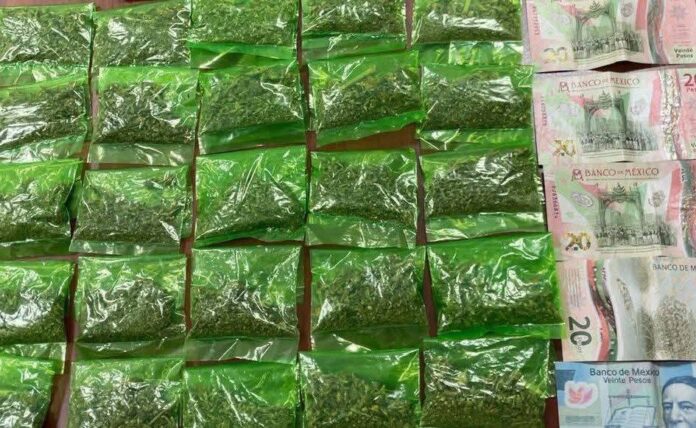 542691577_1095456662795745_8175034187624981810_n